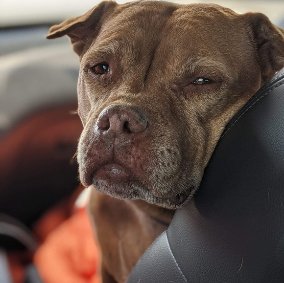 Meet your Posher, Karley - Picture 1 of 1